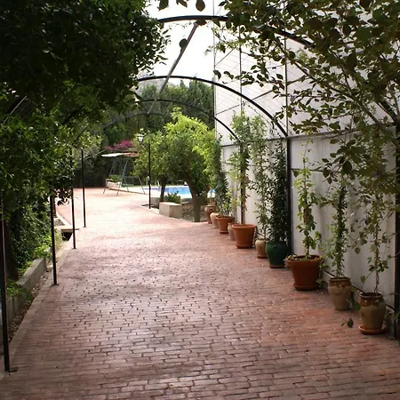 Bed & Breakfast La Canota King Adults Only *