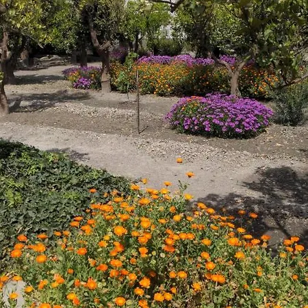 Bed & Breakfast La Canota King Adults Only Talara