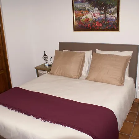 La Canota King Adults Only Talara